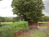 Garden 2
